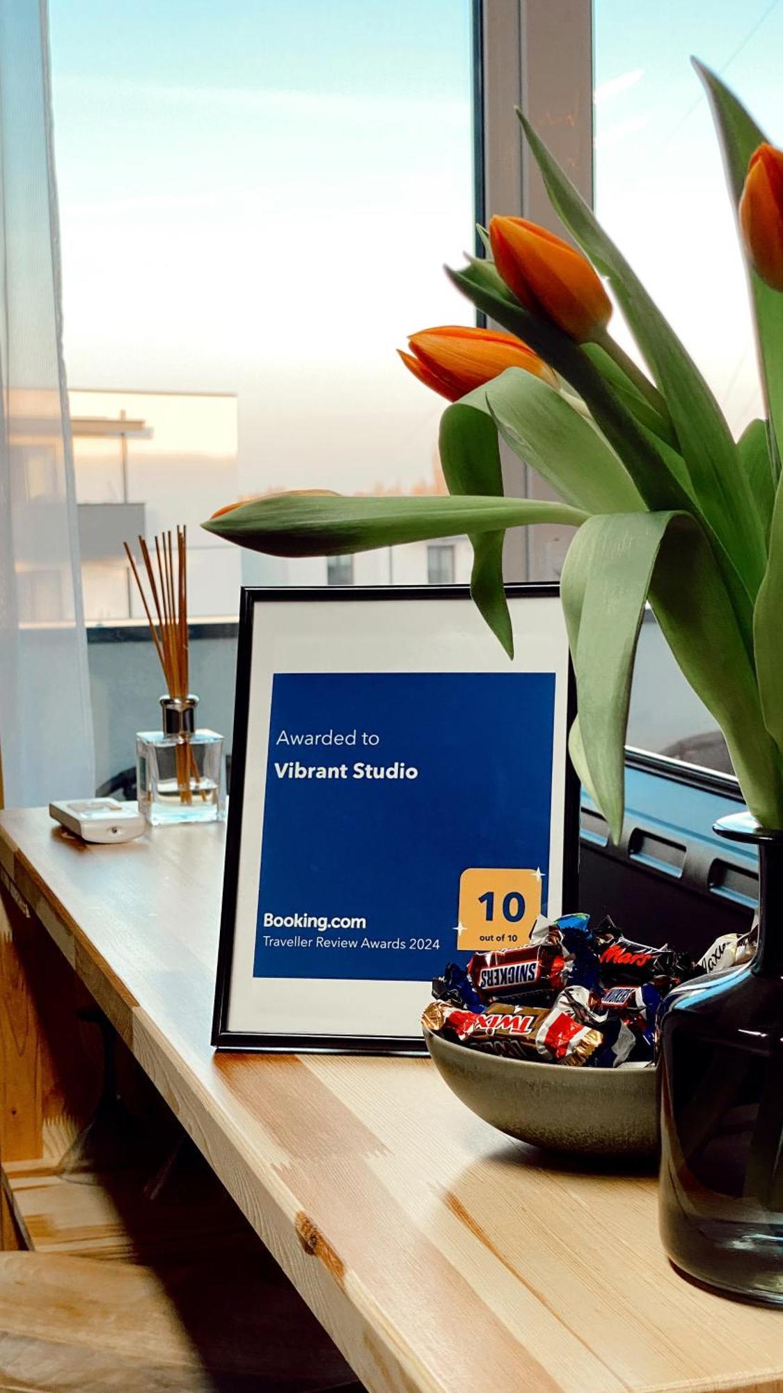 Vibrant Studio Timişoara Eksteriør bilde